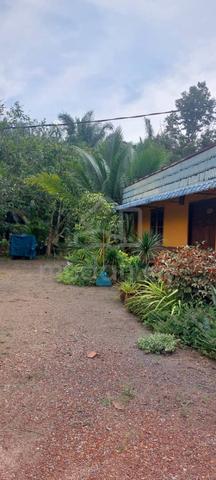 Sebidang Tanah Untuk Dijual 1