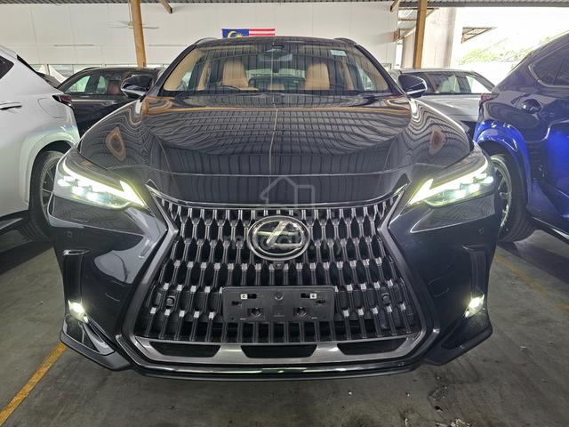 2023 Lexus NX 250 2.5 LUXURY MOONROOF DIM BSM 360 - 4