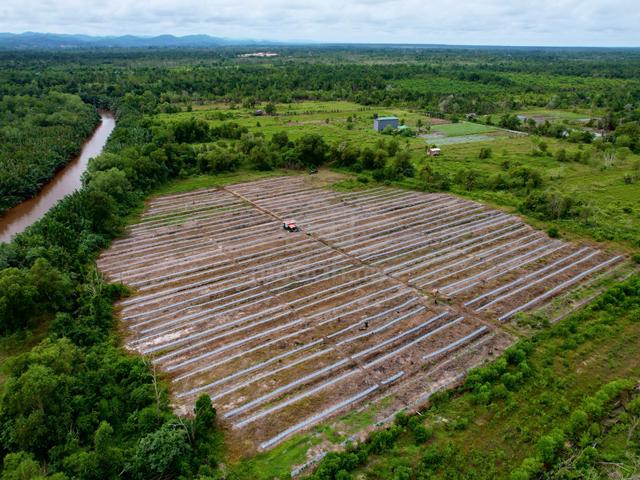 Membakut 38 acres Beach Land Seaview Tourism CL I Kuala Penyu Bongawan 5