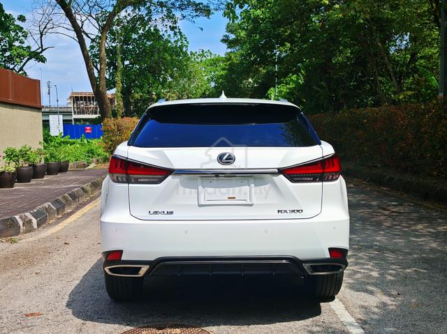 2020 Lexus RX300 F SPORT Panoramic HUD BSM 4Cam - 5