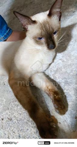Carousel Image