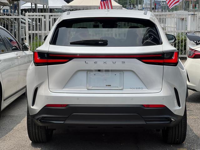 2022 Lexus NX250 2.5 LUXURY 7,470 KM ONLY - 2