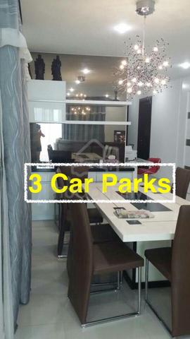 Gurney Paragon 1
