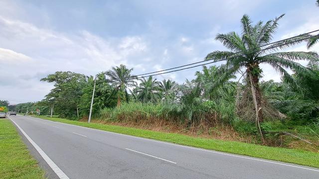 Tanah Pertanian 0.987 ekar Jalan Koko Kg Medan Sijangkang Kuala Langat 5