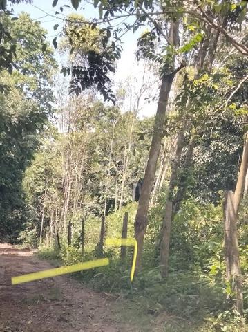 Tanah untuk dijual di Pantai, Mukim Seremban 1