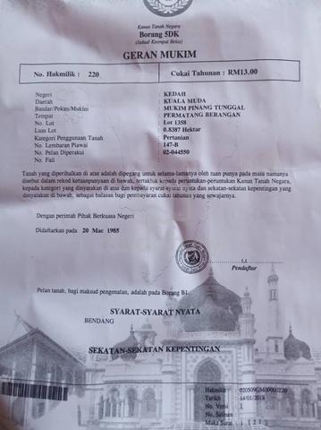 Kedah Pinang Tunggal Agricultural Freehold Land For Sale 1