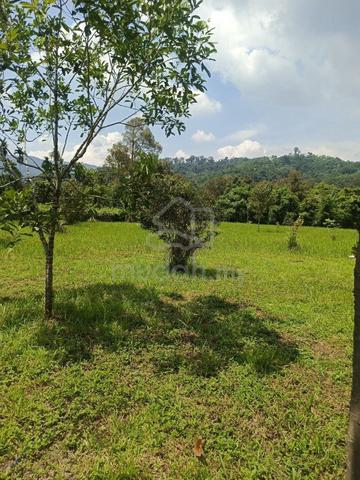 Dusun Durian 1.08 Ekar + Rumah Untuk Dijual Lenggeng Negeri Sembilan 1
