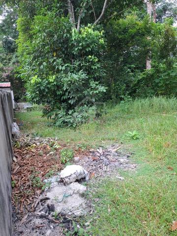 Tanah Untuk Dijual - Geran Kongsi 2