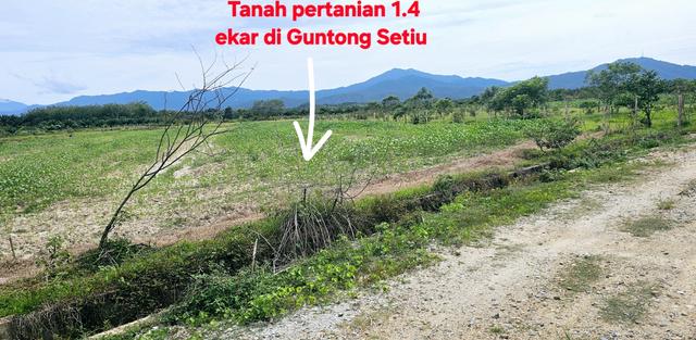 Tanah pertanian 1.4 ekar di Guntong Setiu Terengganu 2