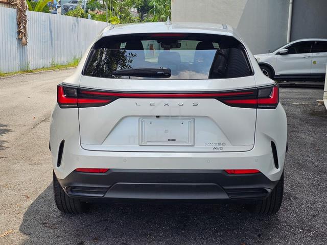2023 Lexus NX 250 2.5 LUXURY (A) - 4