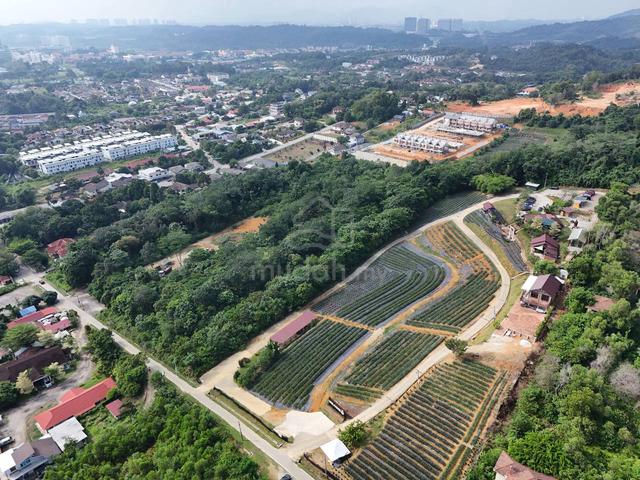 1.5 Acre Freehold Agriculture Land Sungai Merab Bangi 1