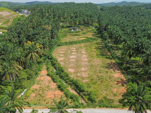 FLAT LAND🔥INFRA READY 3 Acres Rembau Negeri Sembilan 1