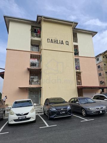 Dahlia (Seremban) 1
