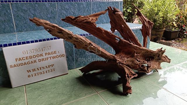 Driftwood for aquascape tank 2.5-3ft - photo 4 of 6