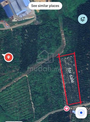 Agricultural Land in Kuantan, Pahang 1