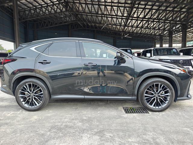 2023 Lexus NX 250 Luxury Mark Levinson P/Roof 4Cam - 5