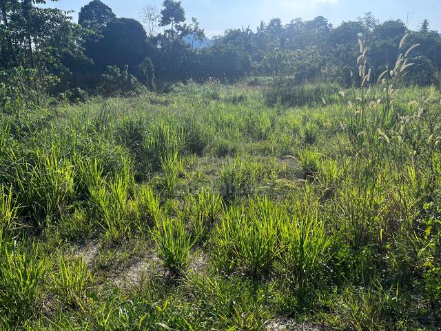 Ranggu Lot Tanah 3