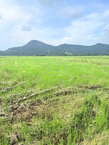 Tanah Semanggol Untuk Dijual 1
