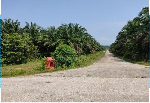 Tanah Land For Sale Ipoh Country Club Gopeng Perak 1