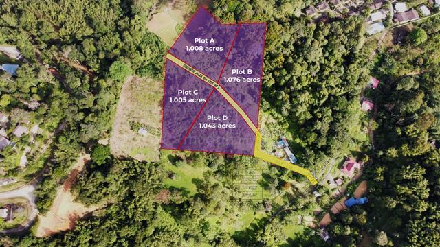 1 acre of undulating land with view in Kg Sum Sum Janda Baik Pahang 1