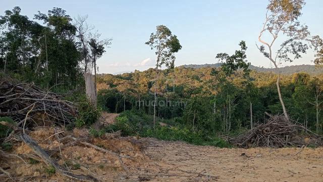 TANAH 9 EKAR 🔥NON BUMI | Dah Cuci Jimat Kos|Kg. Sg. Mun,Kechau, Lipis 1