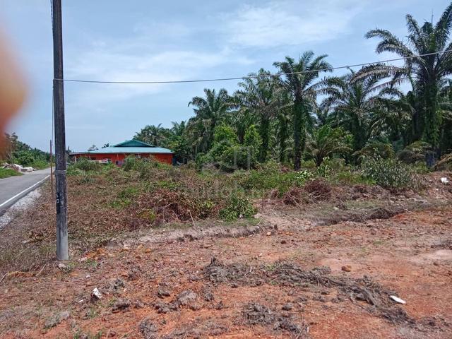 TANAH LOT BUNGALOW MURAH untuk dijual 2