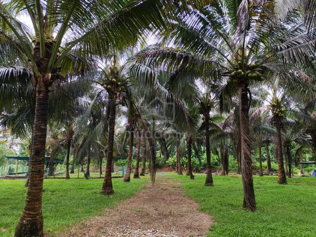 Agricultural Land For Multipurpose Opportunities 1