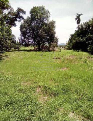 Tanah Dusun View Gunung,Sawah 1