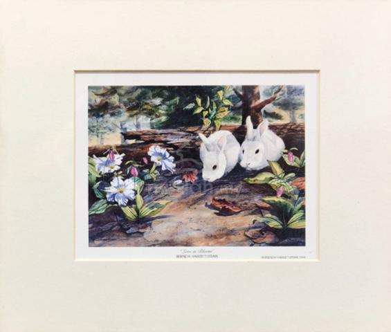 Carousel Image