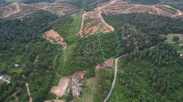 TEPI JALAN🔥FREEHOLD🔥2.87 Ekar Tanah Pertanian Pelangai Kuala Pilah 2
