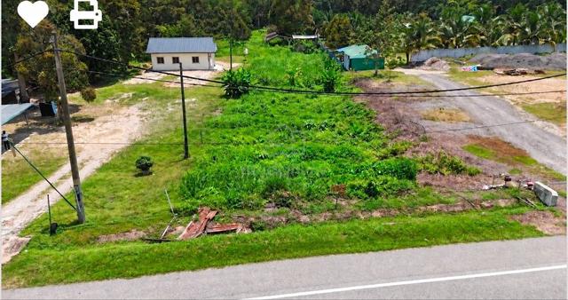[TANAH MURAH TEPI JALAN] Tanah Pertanian di Jln Bilut Bentong Pahang 1
