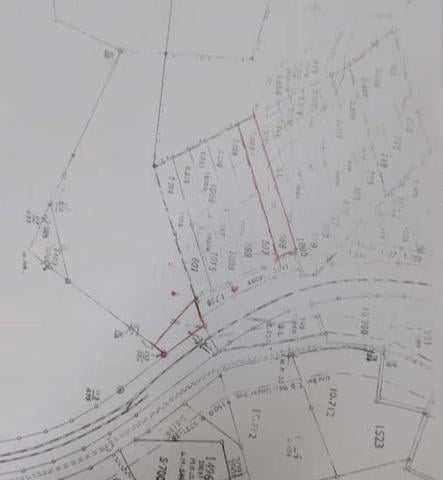 Agriculture Land in Rasa For Sale 1