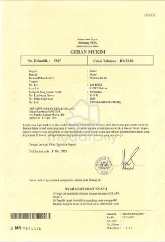 Tanah lot sawit untuk dijual murah  1