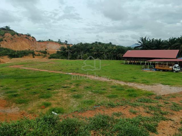 Ladang Kandang Lembu & Kambing 5 Ekar Untuk Dijual Muallim Perak. 1