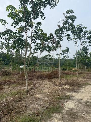 Tanah Pertanian Semerbok Rembau Tanah Pertanian Semerbok 2.4 Ek 1