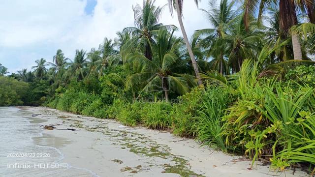 Omadal Island 1