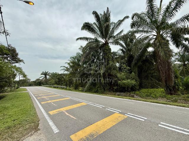 Johor Pontian Pekan Nanas Kampung Sawah 38acre Zoning Residential Land 1