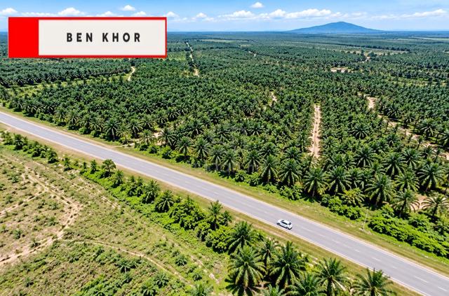 181 acres | Mainroad land | Plam oil Plantation| Baling | Tawar|KEDAH 1
