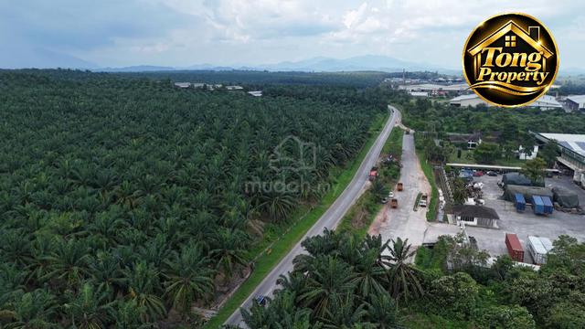 Bukit Selambau Zoning Industrial /Agriculture Land For Sale 1