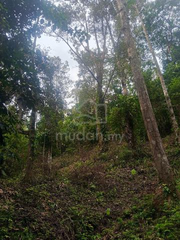 Tanah dusun untuk di jual 1