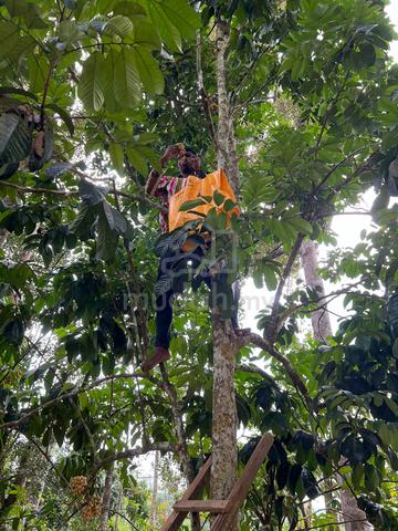 Tanah Dusun Durian/Buah serta Rumah 1.3relong 1