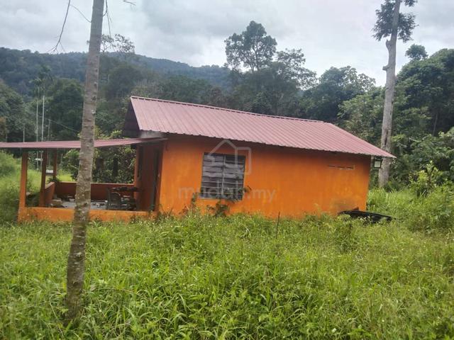 Tanah dusun cantek 1