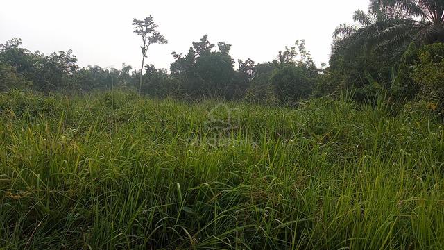 2 Ekar Tanah Kosong Kg Puting Buloh Kasap Segamat Johor 1