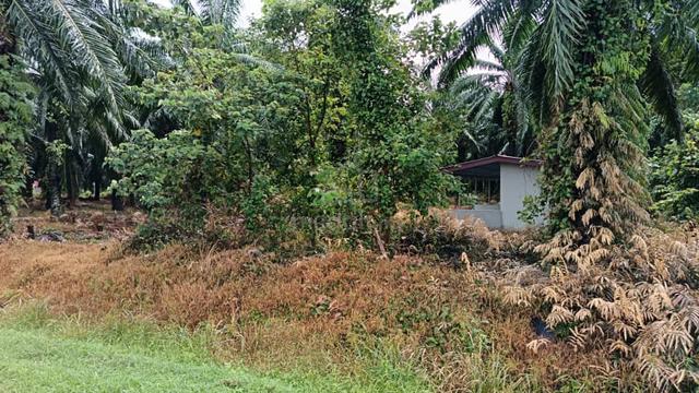 pulau indah 3ekar lokasi strategik 1