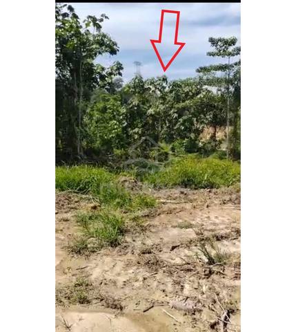 Tanah Pertanian Untuk Dijual 2