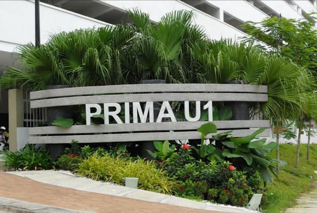 Prima U1 1