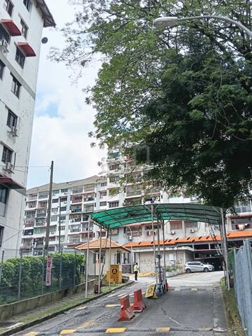 Segar Apartments 1
