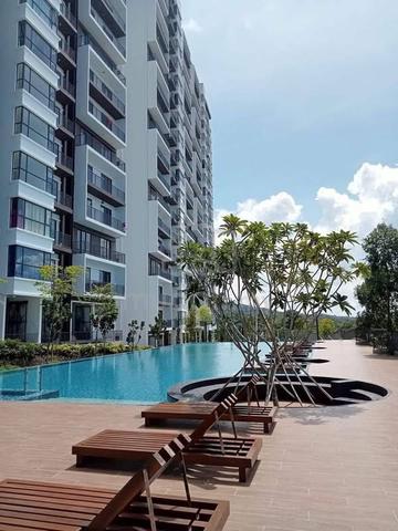 Kingfisher @ Sandakan 1