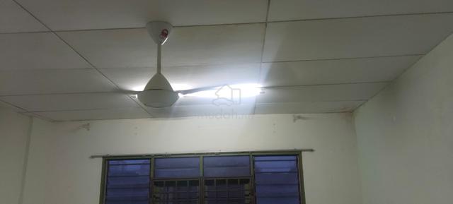 Lebuh Nipah 1