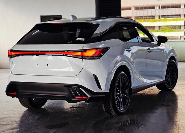 Lexus RX350 2.4 F SPORT FREE 8 Y Warranty at 294k - 5